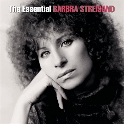 barbra streisand no more tears testo|enough is song donna barbara.